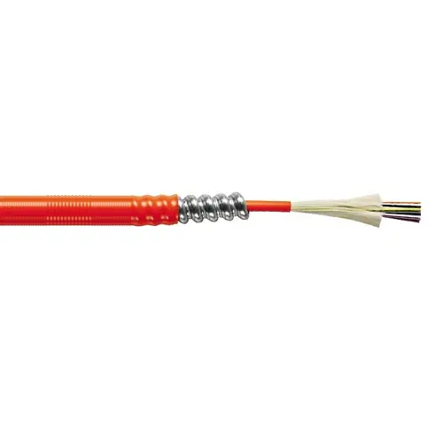 Premise Distribution Armor Tight Buffered OM1 Multimode 1000 FT Mandarina Cable PDPK024CB3510/25