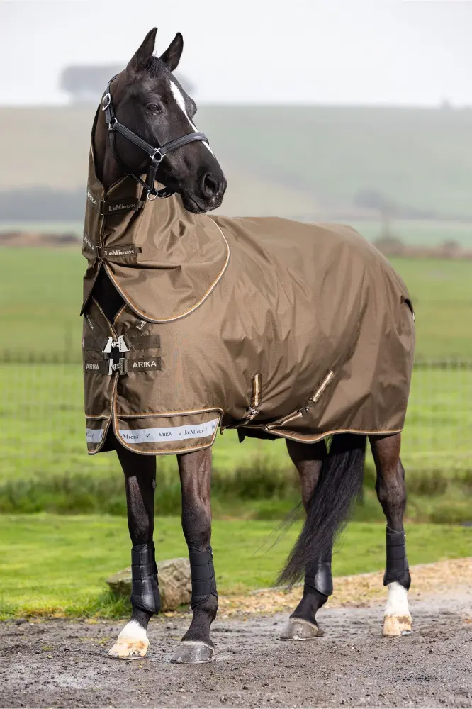 Arika Ripstop Turnout Rug Desconectable Neck, 200 g Alpine 145