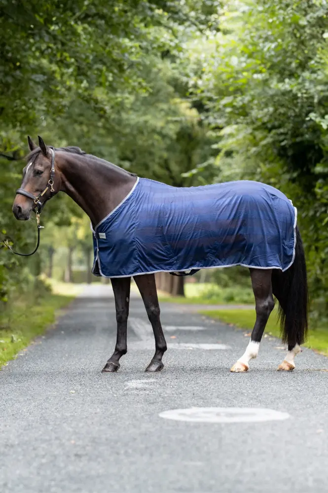 Stripe Fly Rug Dark Azul 155