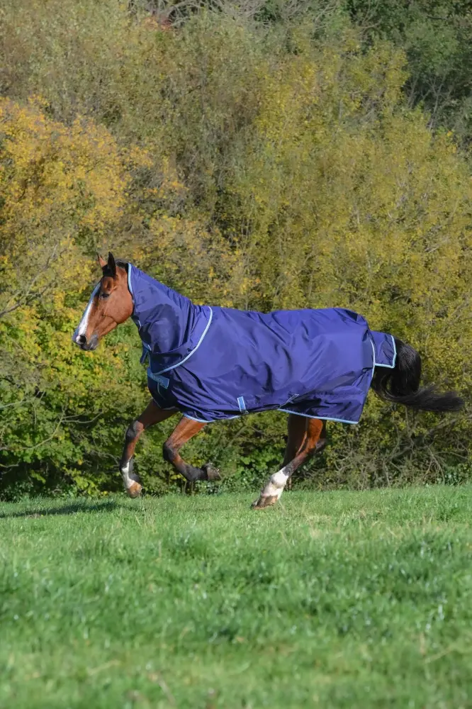 Atlantic Exclusive Rug & Neck Set, 0 g Navy/Blue 125