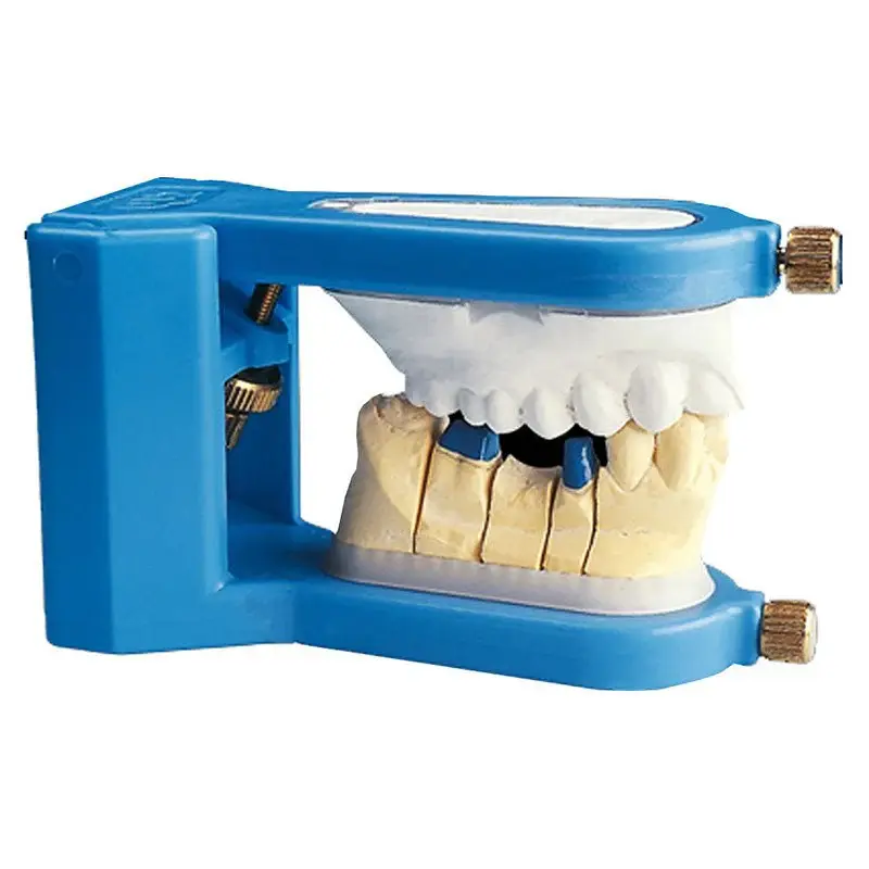 Color Cup Articulator para hemi -arcade - edificio expedito con taza
