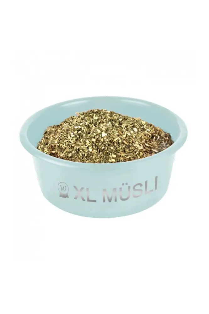 XL Para Muesli Recipiente Con Tapa Turquoise Cobalto 8
