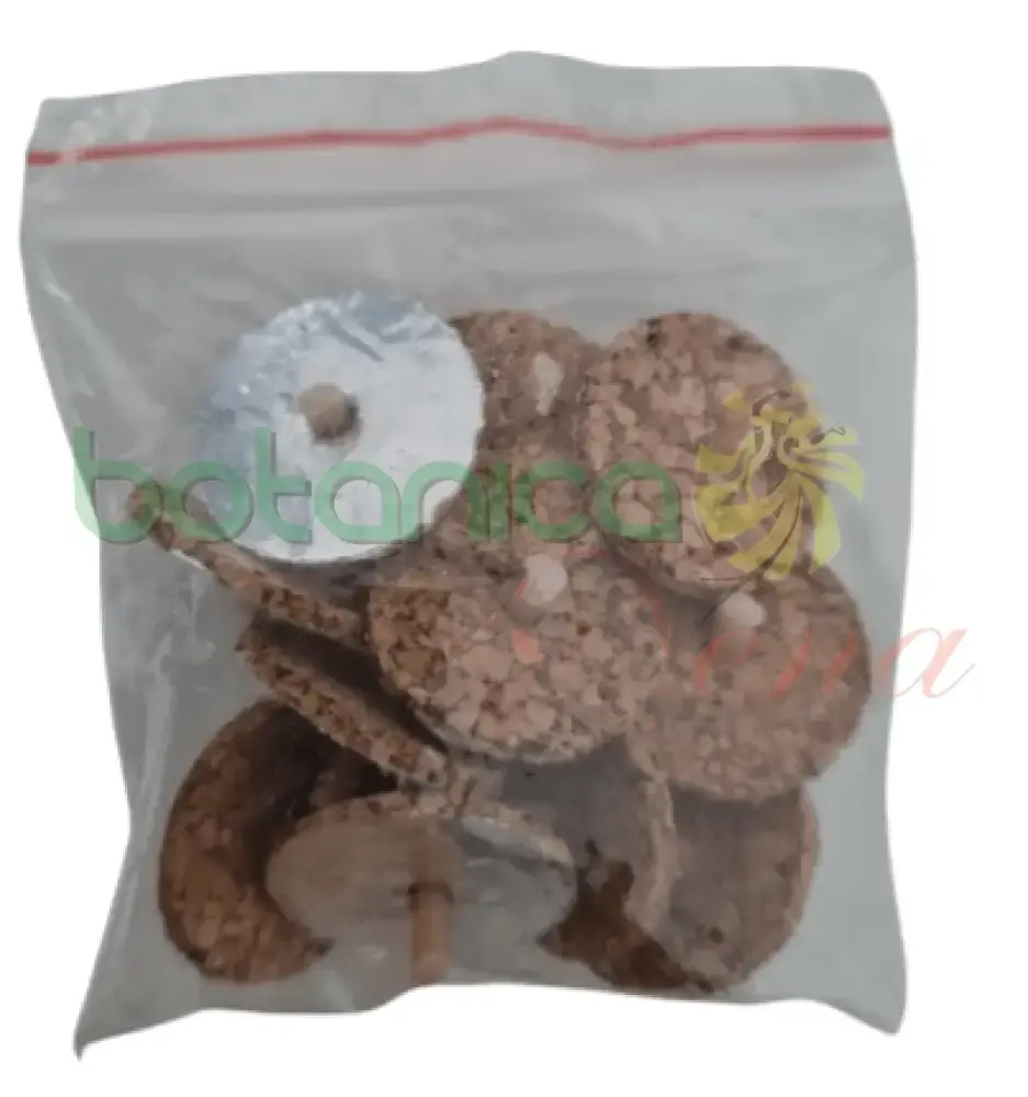 Soporte Ajustable Mechas - Portacerillas para lampara de aceite