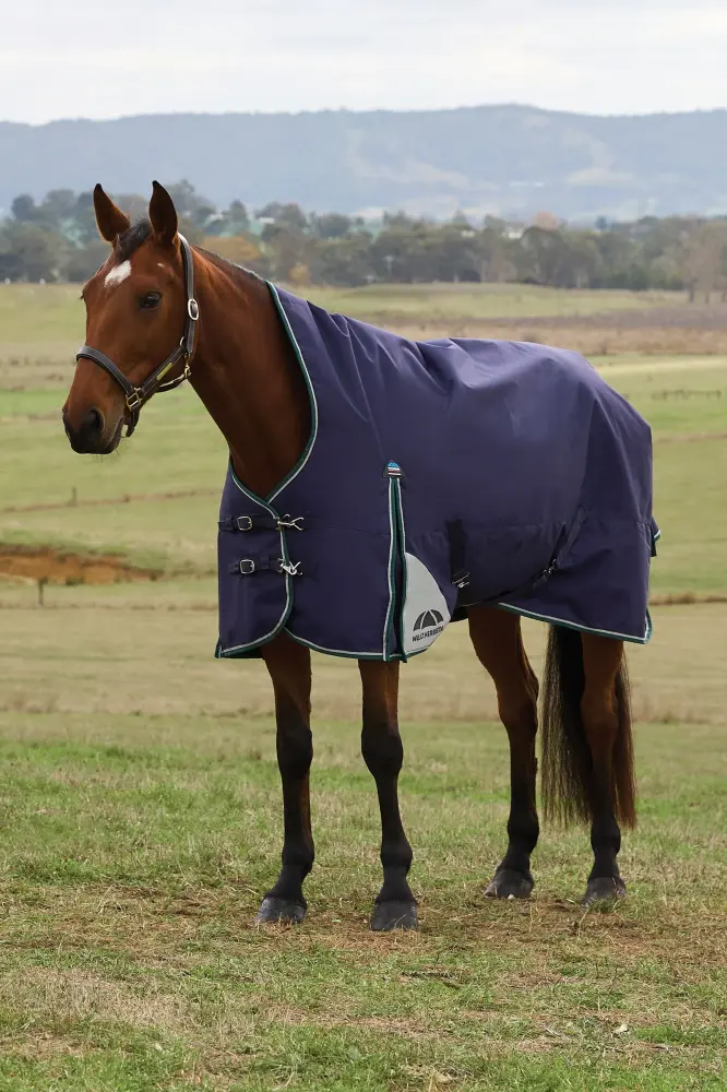 ComFiTecPlus Dynamic Turnout High Neck 100G Navy/Forest Menta 135