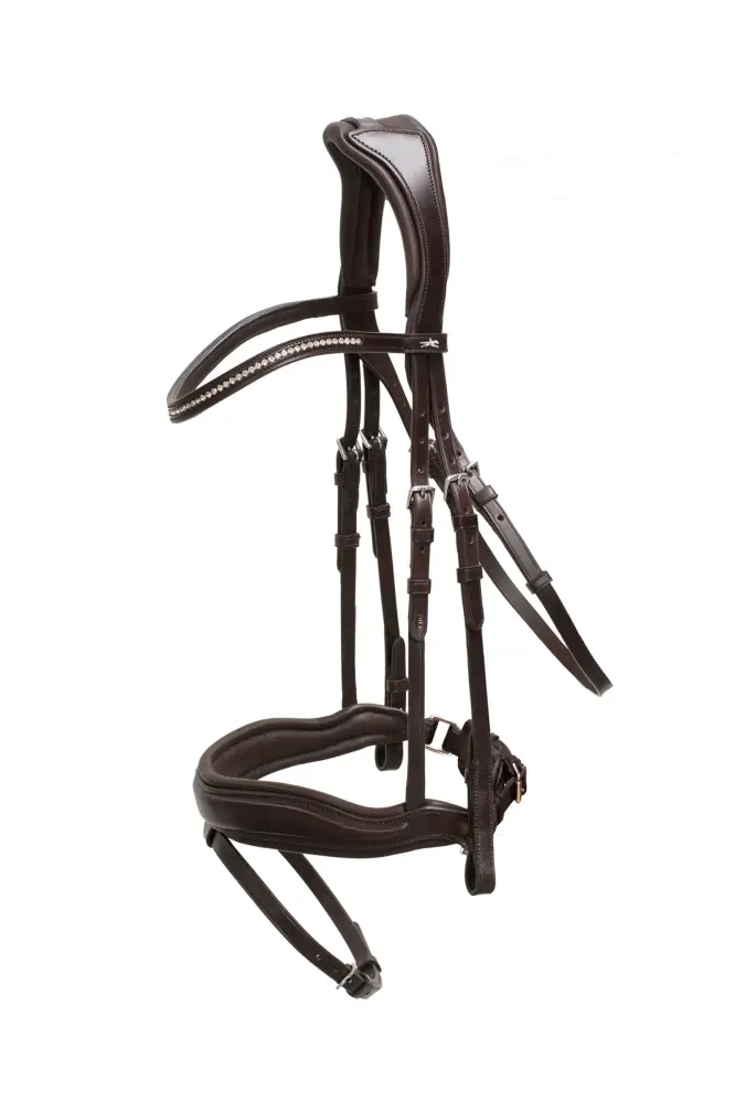 Dispositivo Biométrico Stanford brida anatómica Dark Brown/Silver C