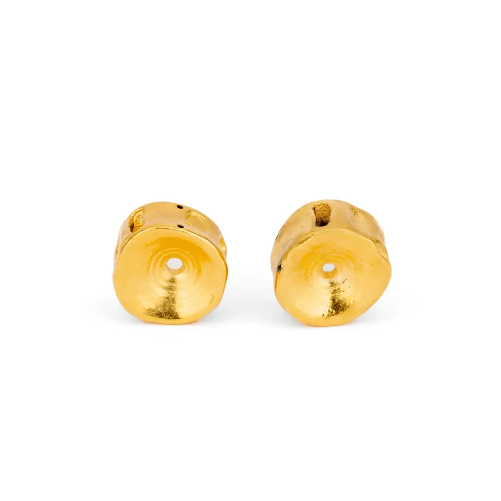 Fish Bone Earrings Recarga por Inducción