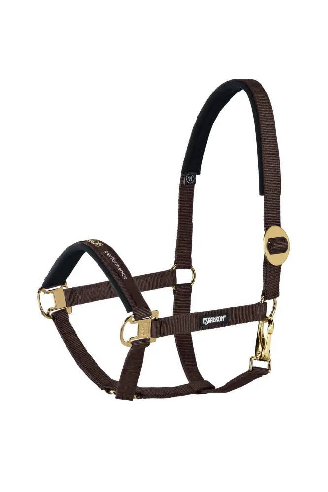 Halter sliding Buckle Darkbrown F