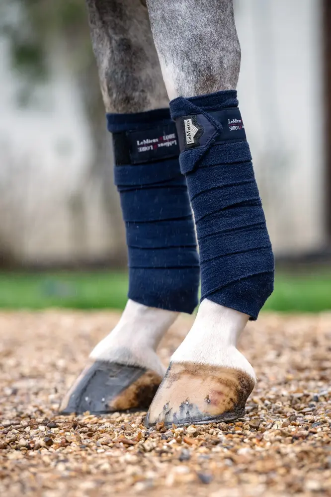 Loire Polo Bandages DB/AB F para Pago Sin Contacto