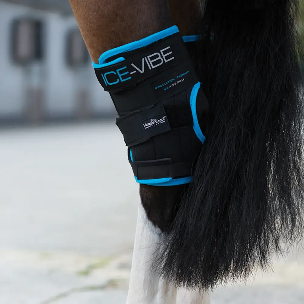 Tecnologí Biométrica Envoltura de corvejón Ice-Vibe F
