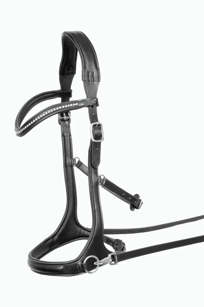Cabezada sin Bocado Trust Azabache P Compatible con Lentes Intercambiables