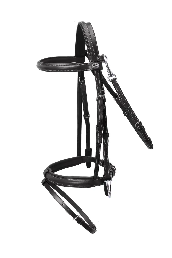 Cámara Bridge de Superzoom Dortmund Cabezada black/cream/silver F