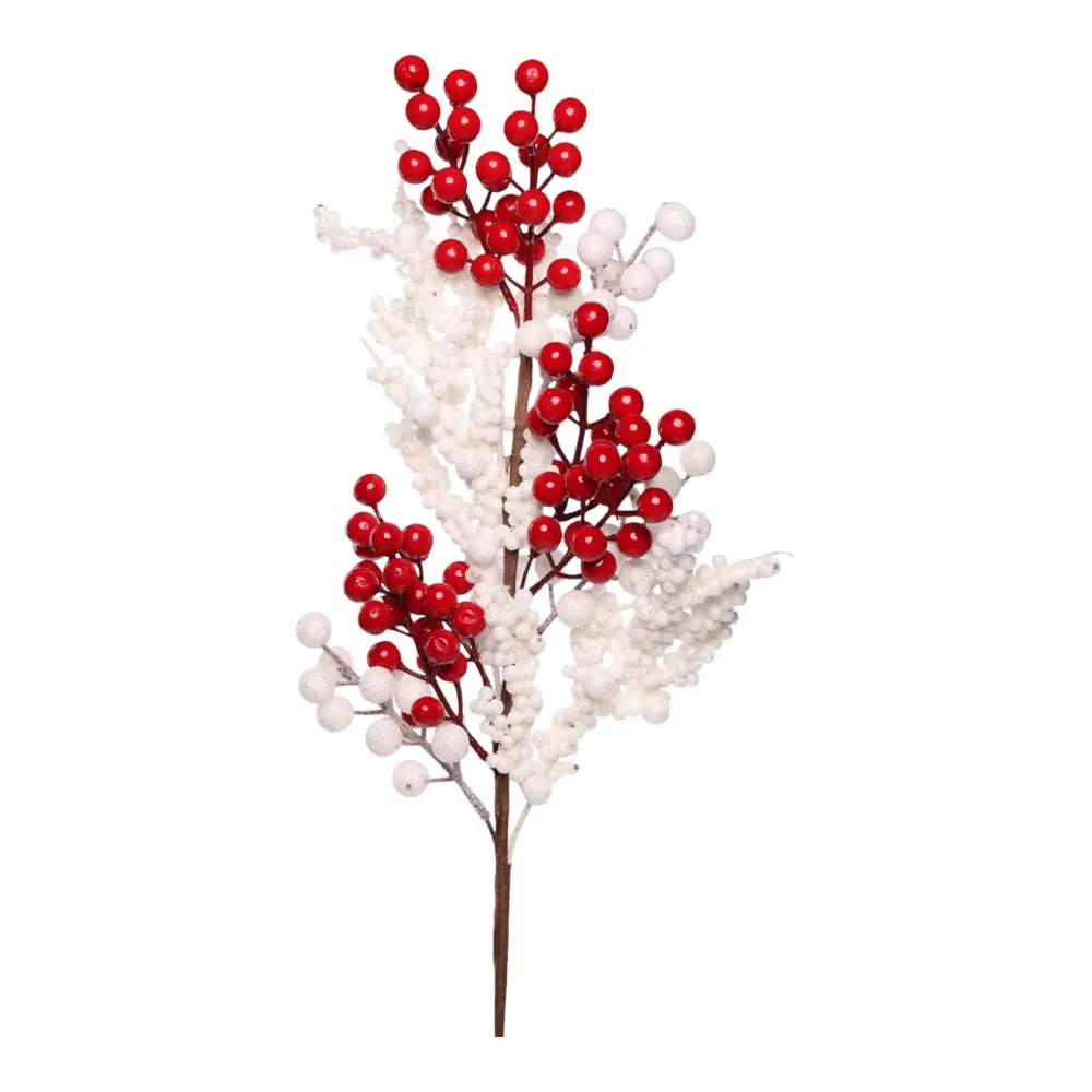 Cámara Mirrorless APS-C Rama Berries Red/White