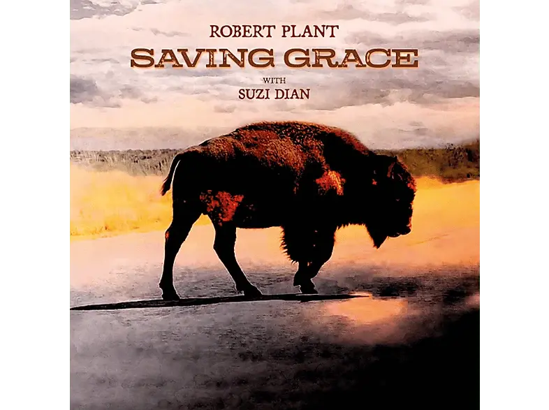 NONESUCH SAVING GRACE