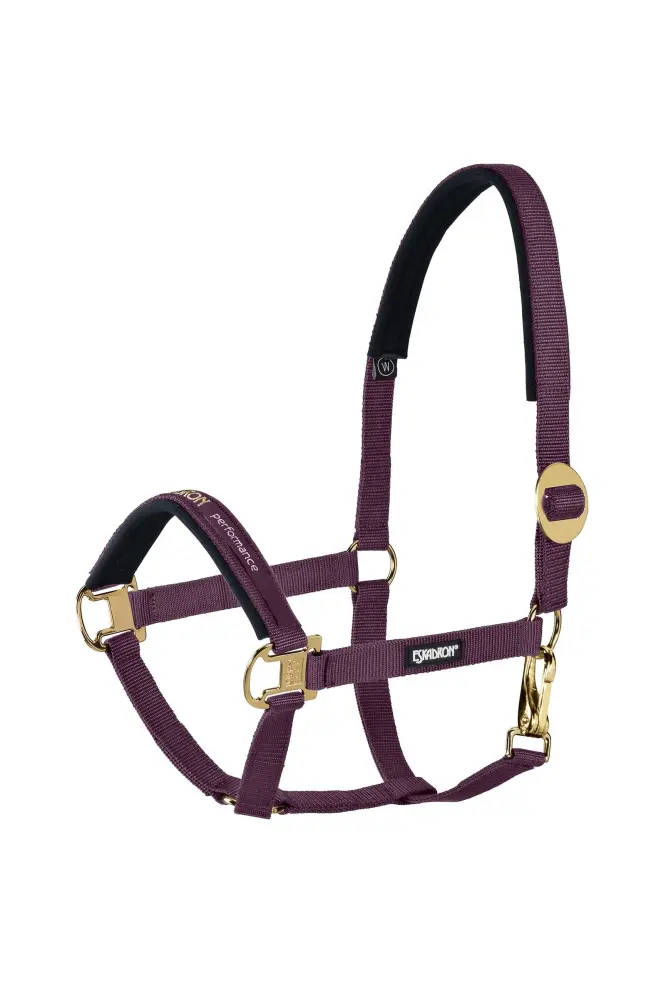 Certificado IP67 Halter sliding Buckle Blackberry SHP