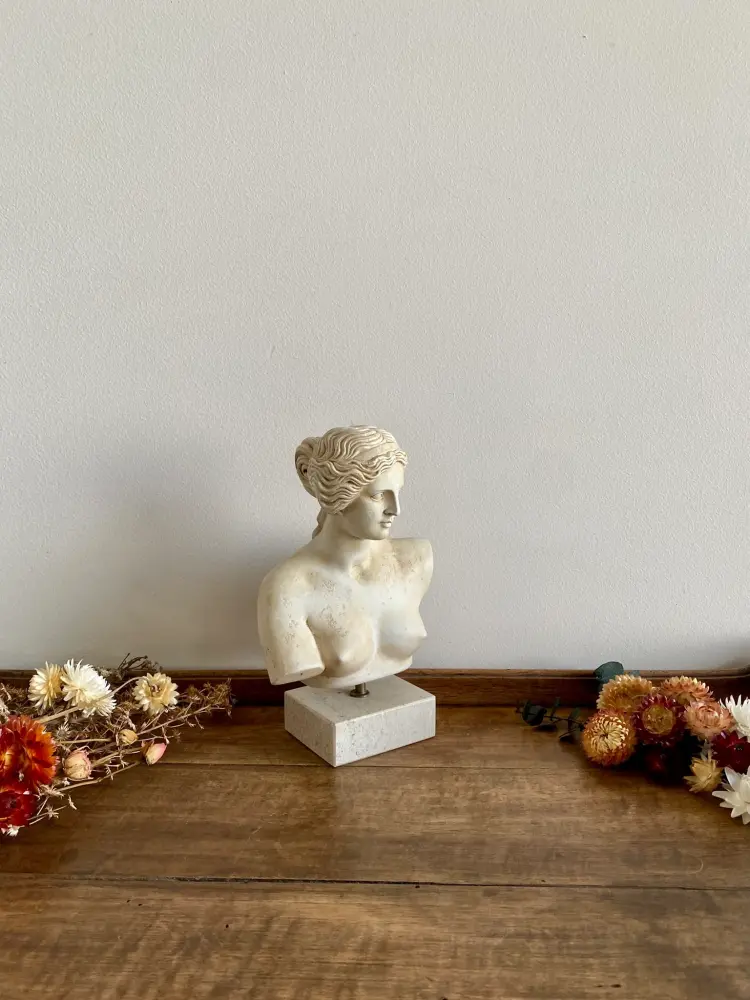 Buste de jeune femme en plâtre inspiration Venus de Milo con Cableado Modular