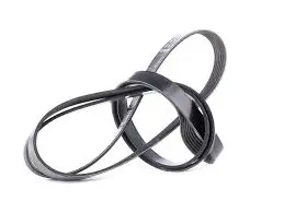 Procesador de Alto Rendimiento Faja unica de accesorios 6PK2120
