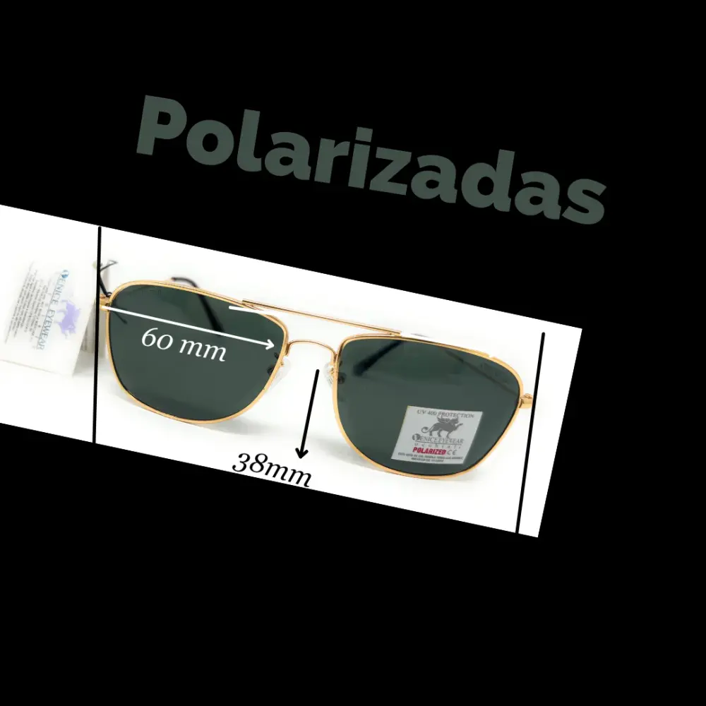 Lentes polarizadas de alta gama SWAP VE 68119 GD para Películas