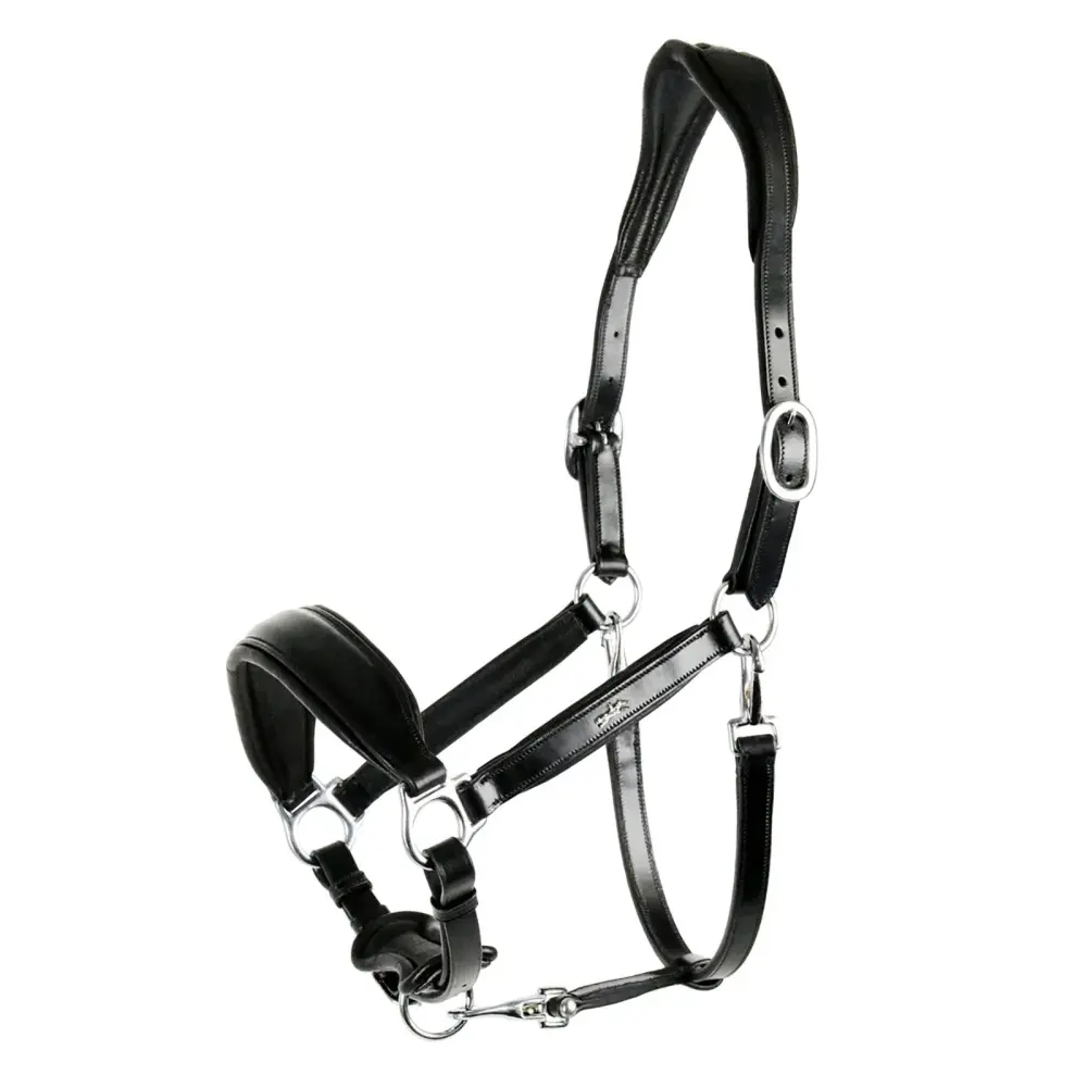 Cabestro Fremont Black/Silver F Compatible con Asistente de Voz