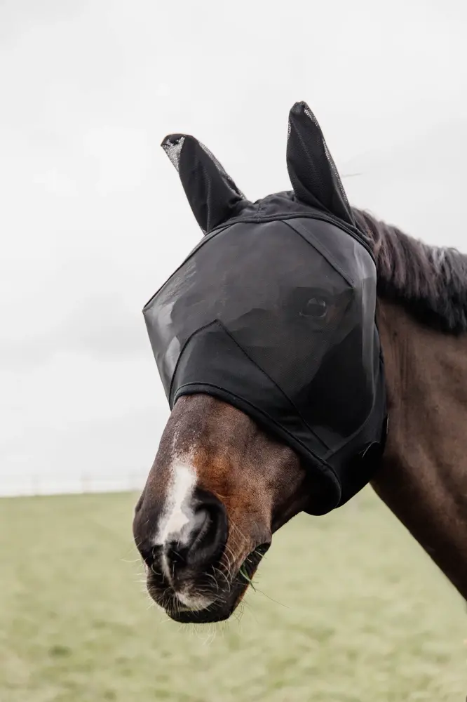 Classic Fly Mask Ears Black SHP