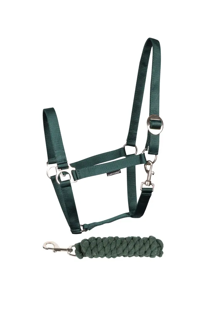 Conjunto de cabeza de caballo de Harry con inicial Verde F | Polarizado | Bluetooth