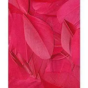 Artemio plumas 3g fucsia 13030029