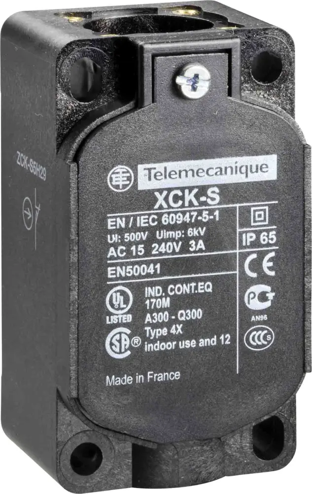 Final de carrera con Rodillo Telemecanique Sensors, 2 NC, 10A, IP66, IP67 | ZCKS7H29