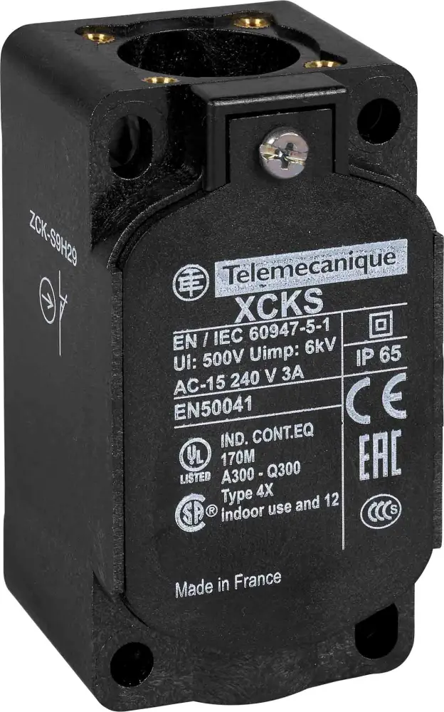 Final de carrera con Rodillo Telemecanique Sensors, 2 NC, 10A, IP66, IP67 | ZCKS9H29