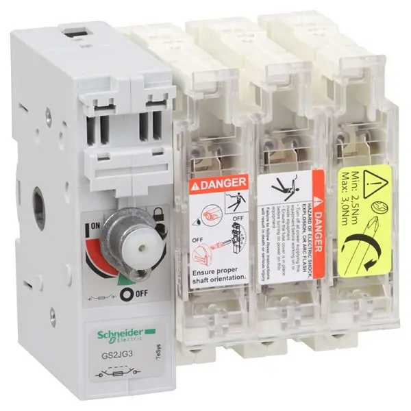 Interruptor seccionador Schneider Electric Bastidor cerrado, 100A, 3 | GS2JG3