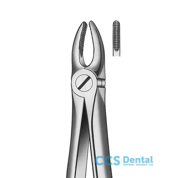 E2 Forceps Incisivo-Canino Su