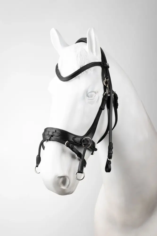 Montana 2--1 Bridle Ónix P