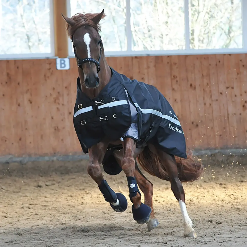 Alaska IV Turnout Rug, 300 g Carbón 145