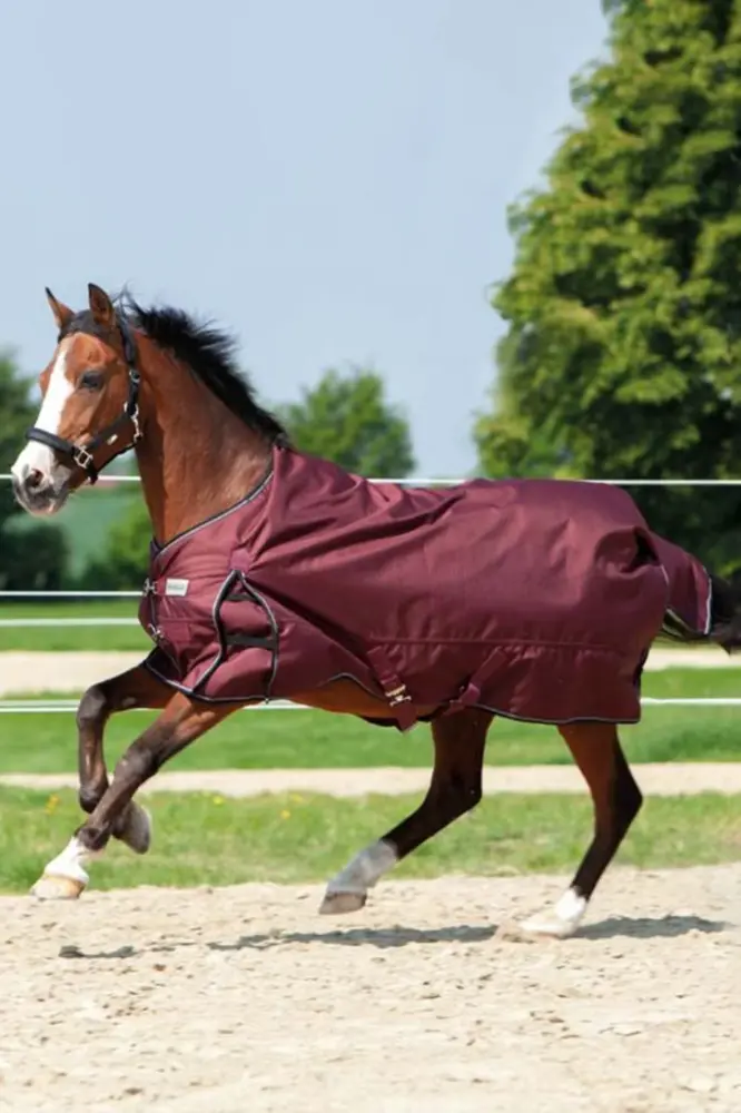 Alaska IV Turnout Rug, 300 g Dark Red 125