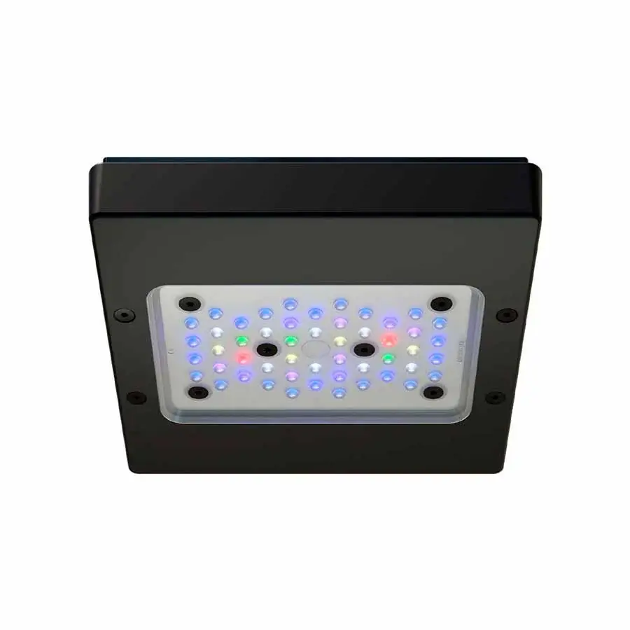 Ecosonda para Barco Radion XR15 Pro G6, Ecotech Marine