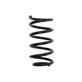 Espiral de compensador trasero 55330-2B860