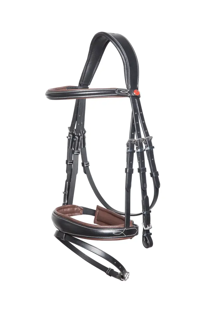 Brida Vera Black/Brown F para Videovigilancia