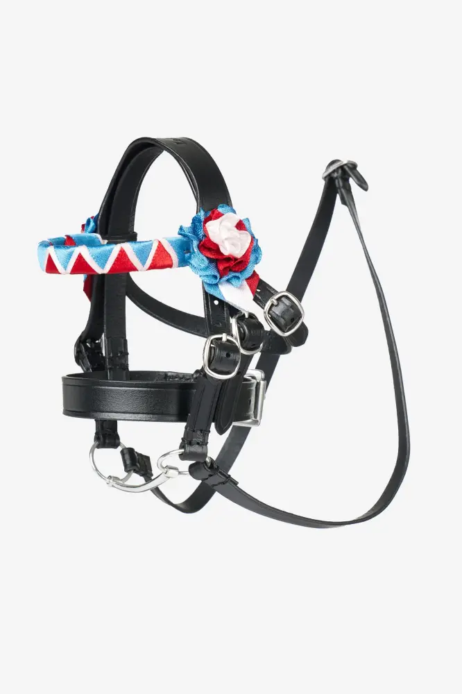 Toy Pony Showing Bridle Azabache Talla única