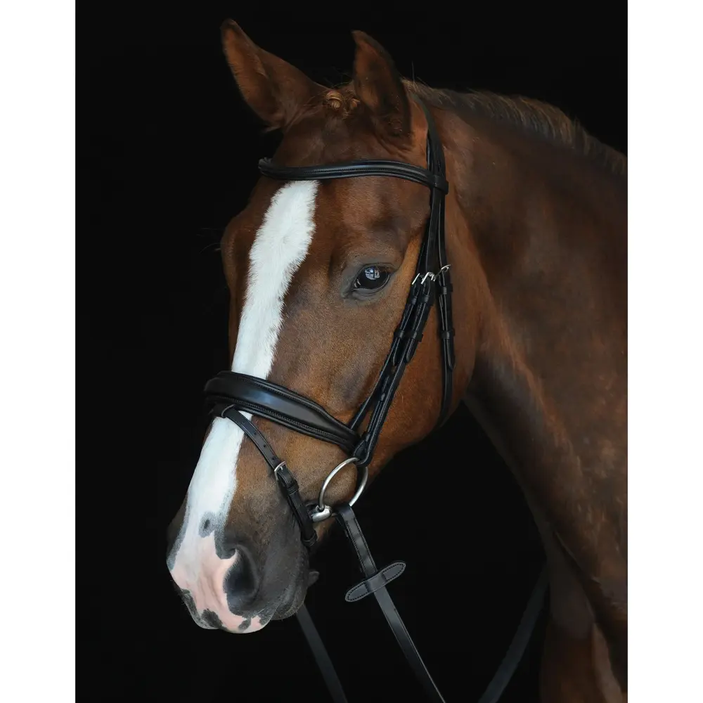 Mono Crown Padded Raised Flash Bridle Ónix X-Full
