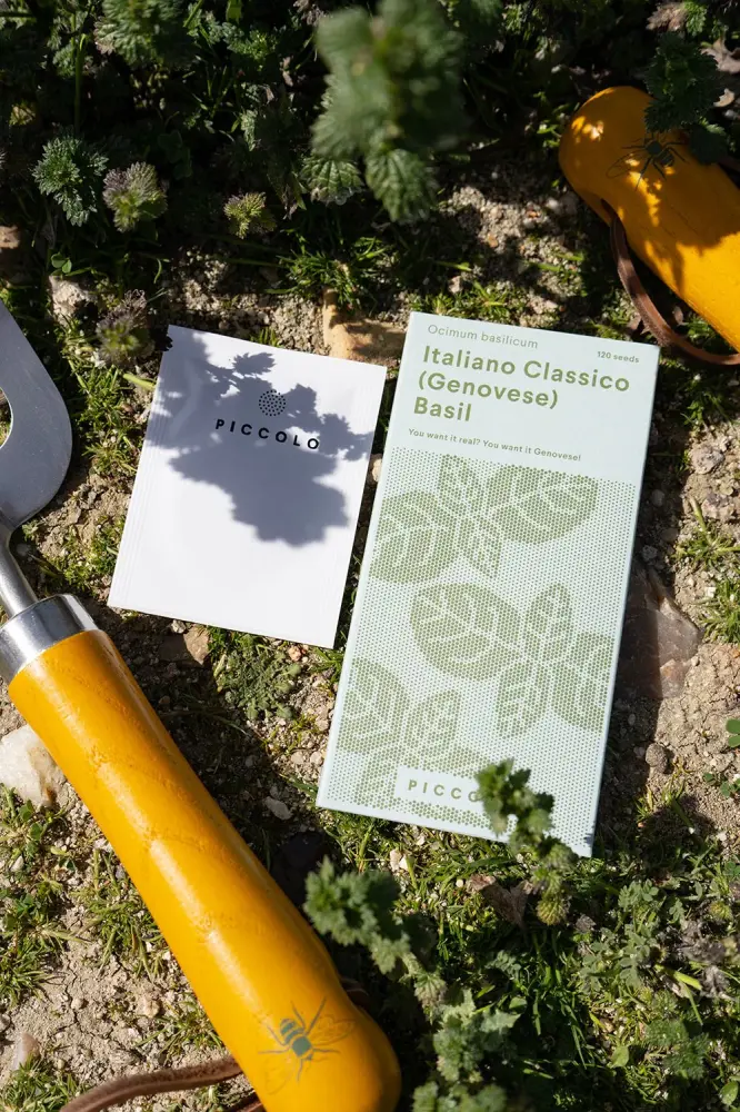 Sementes de manjericão genovês con Estuche de Protección
